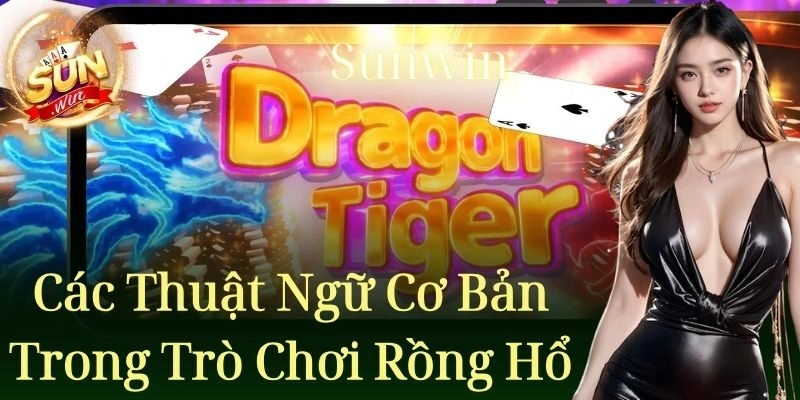 Những thuật ngữ chính trong trò chơi Rồng Hổ