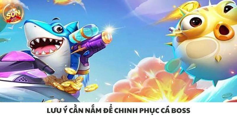 Lưu ý cần nắm để chinh phục cá boss